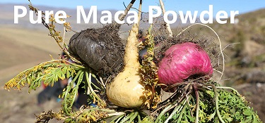 What is Maca Extract? 